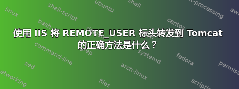 使用 IIS 将 REMOTE_USER 标头转发到 Tomcat 的正确方法是什么？