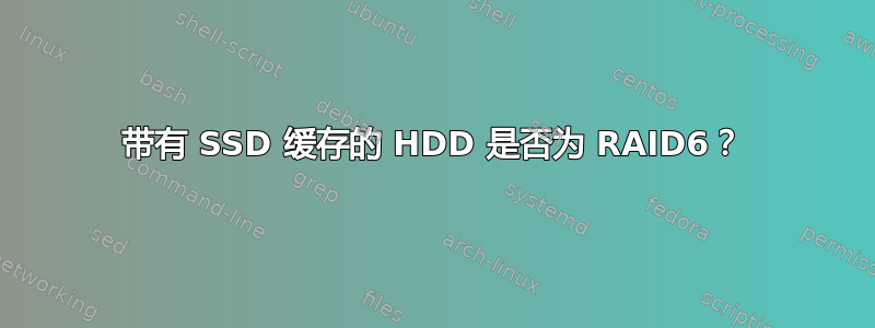 带有 SSD 缓存的 HDD 是否为 RAID6？