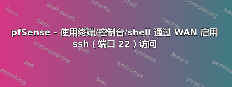 pfSense - 使用终端/控制台/shell 通过 WAN 启用 ssh（端口 22）访问