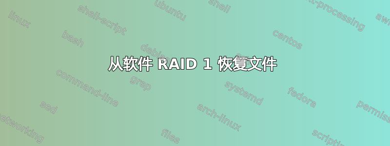 从软件 RAID 1 恢复文件