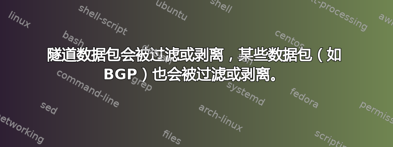 隧道数据包会被过滤或剥离，某些数据包（如 BGP）也会被过滤或剥离。