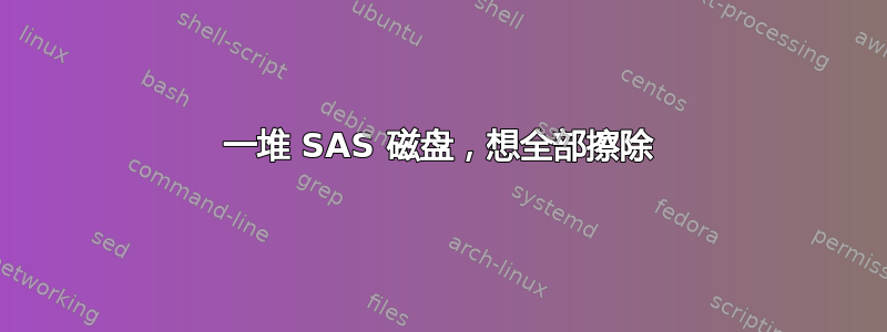 一堆 SAS 磁盘，想全部擦除