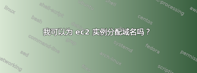 我可以为 ec2 实例分配域名吗？