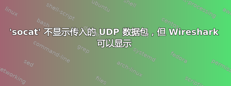 'socat' 不显示传入的 UDP 数据包，但 Wireshark 可以显示