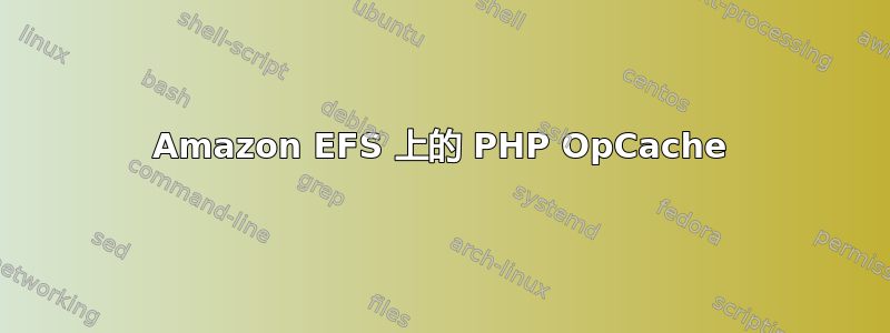 Amazon EFS 上的 PHP OpCache