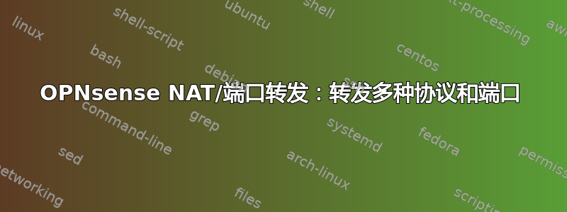 OPNsense NAT/端口转发：转发多种协议和端口