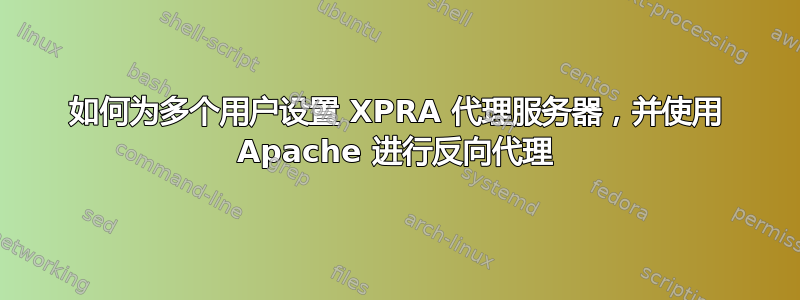 如何为多个用户设置 XPRA 代理服务器，并使用 Apache 进行反向代理