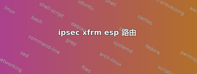 ipsec xfrm esp 路由