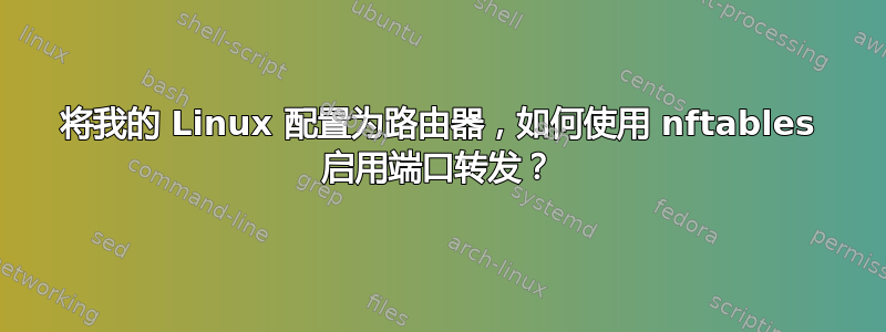 将我的 Linux 配置为路由器，如何使用 nftables 启用端口转发？