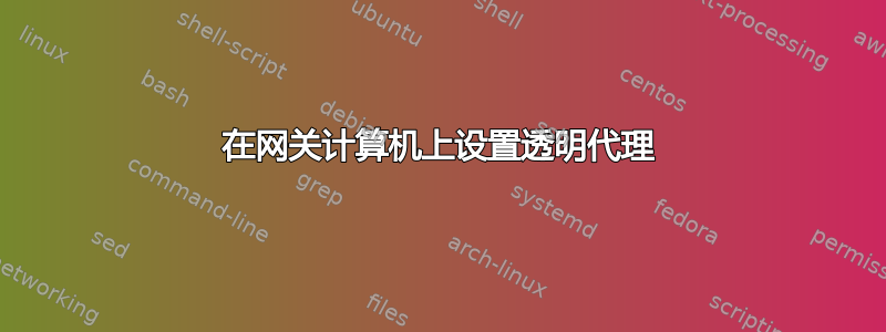 在网关计算机上设置透明代理