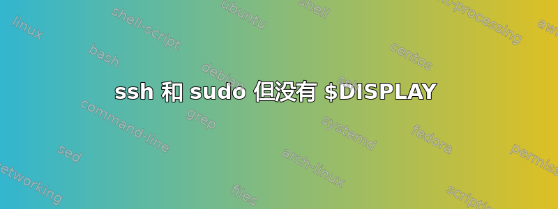 ssh 和 sudo 但没有 $DISPLAY