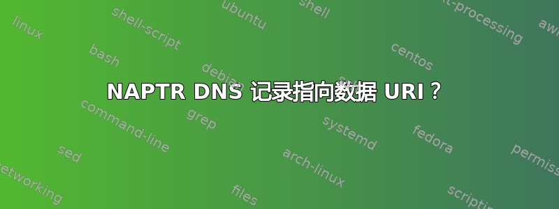 NAPTR DNS 记录指向数据 URI？