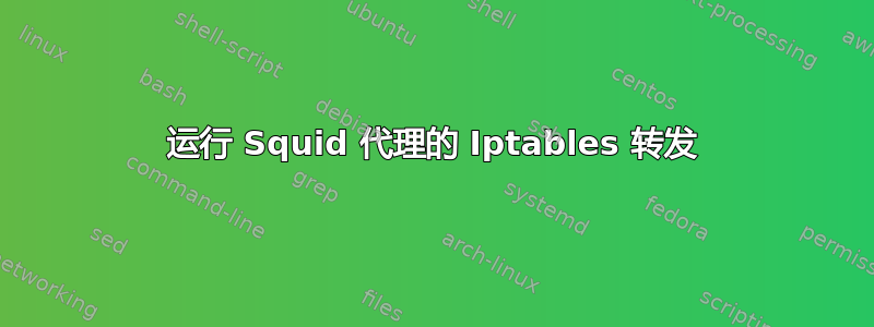 运行 Squid 代理的 Iptables 转发