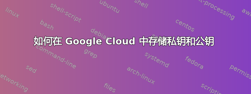 如何在 Google Cloud 中存储私钥和公​​钥