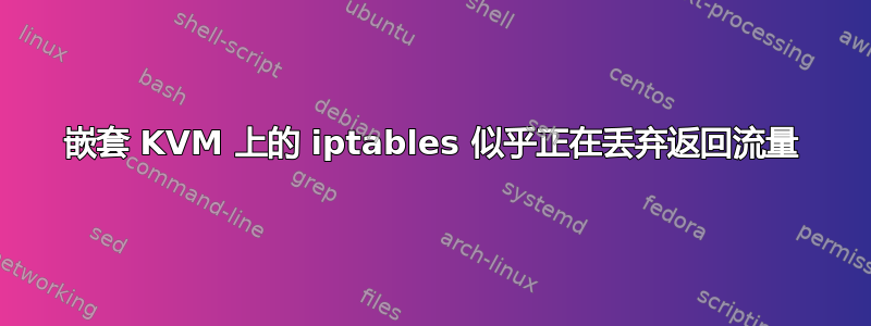 嵌套 KVM 上的 iptables 似乎正在丢弃返回流量