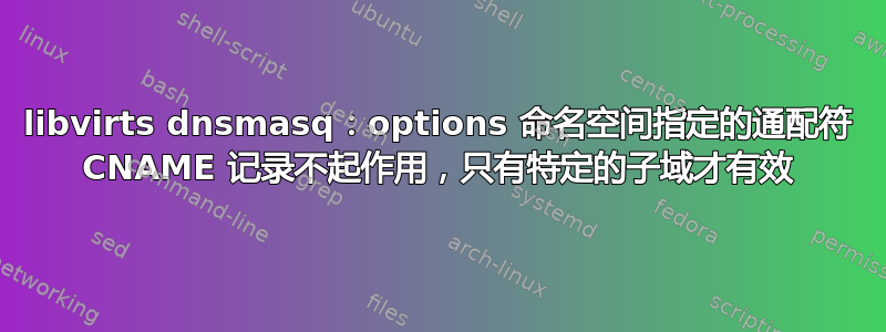 libvirts dnsmasq：options 命名空间指定的通配符 CNAME 记录不起作用，只有特定的子域才有效