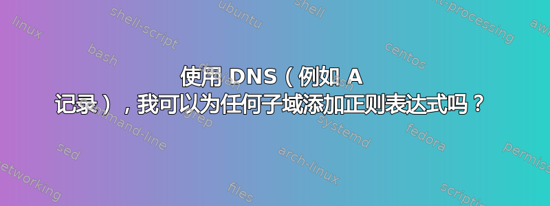 使用 DNS（例如 A 记录），我可以为任何子域添加正则表达式吗？