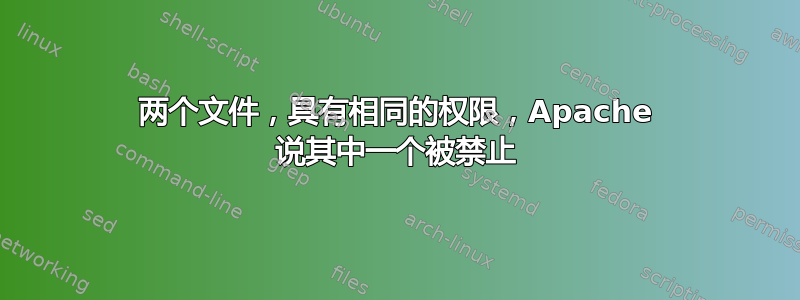 两个文件，具有相同的权限，Apache 说其中一个被禁止