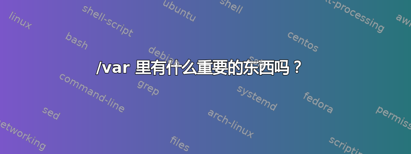 /var 里有什么重要的东西吗？ 