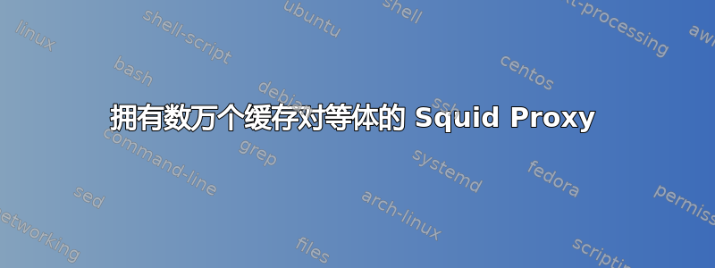 拥有数万个缓存对等体的 Squid Proxy