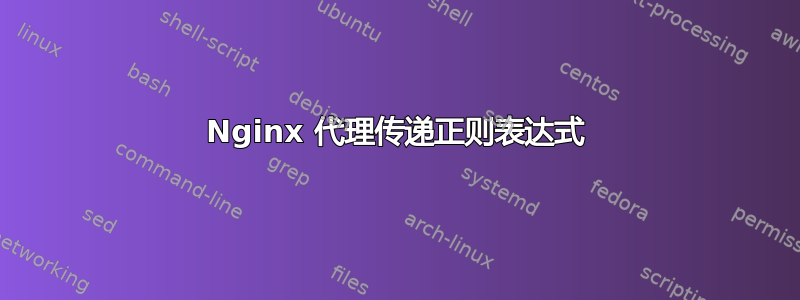 Nginx 代理传递正则表达式