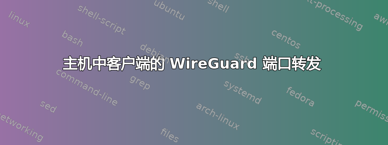 主机中客户端的 WireGuard 端口转发