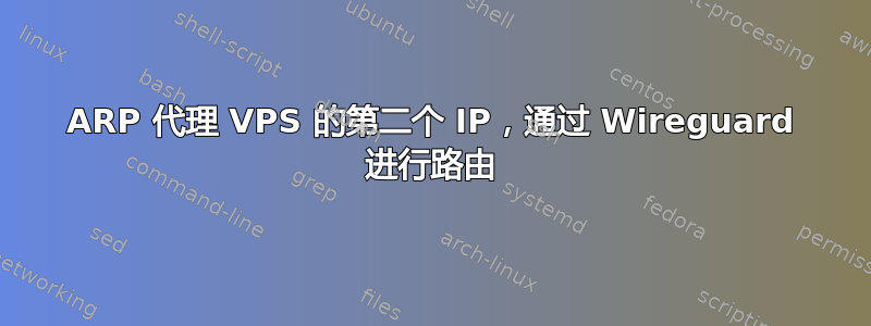 ARP 代理 VPS 的第二个 IP，通过 Wireguard 进行路由