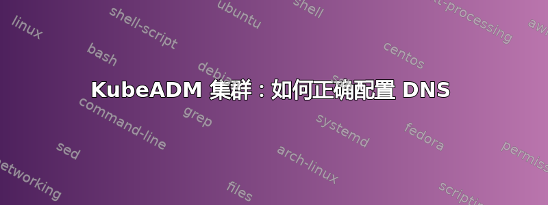 KubeADM 集群：如何正确配置 DNS