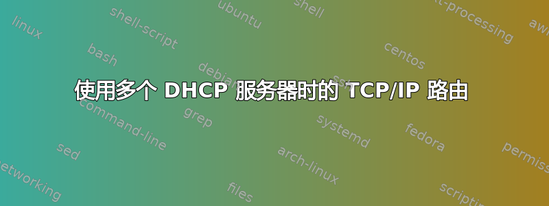 使用多个 DHCP 服务器时的 TCP/IP 路由