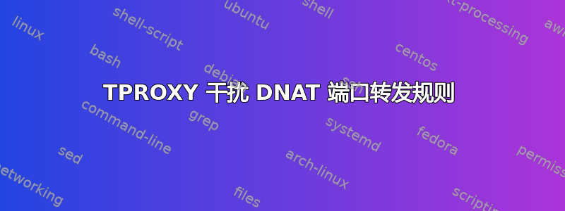 TPROXY 干扰 DNAT 端口转发规则