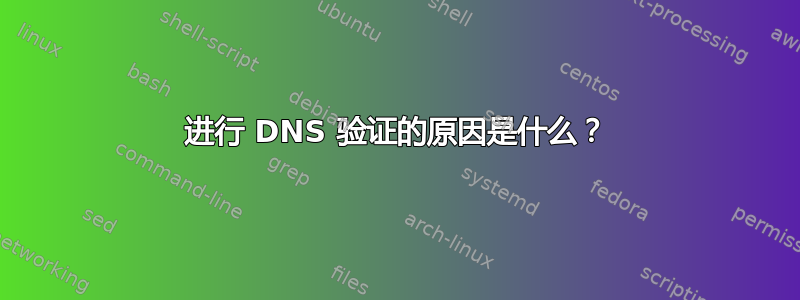 进行 DNS 验证的原因是什么？