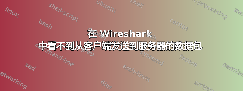 在 Wireshark 中看不到从客户端发送到服务器的数据包