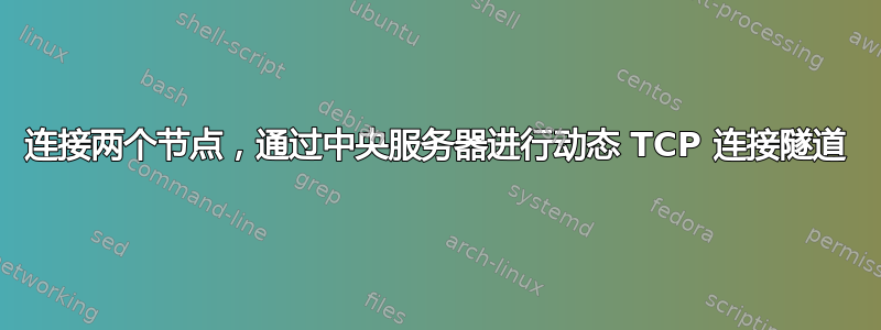 连接两个节点，通过中央服务器进行动态 TCP 连接隧道