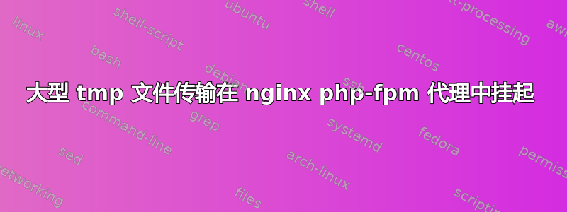 大型 tmp 文件传输在 nginx php-fpm 代理中挂起