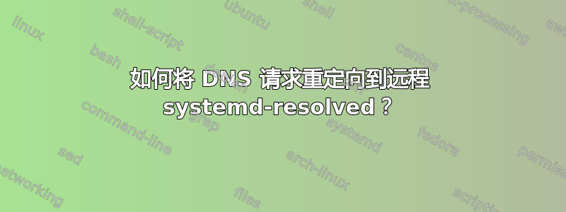 如何将 DNS 请求重定向到远程 systemd-resolved？