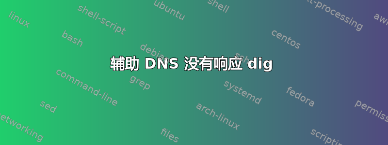 辅助 DNS 没有响应 dig