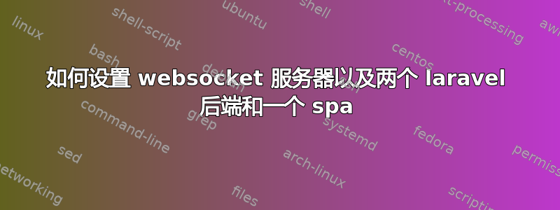 如何设置 websocket 服务器以及两个 laravel 后端和一个 spa