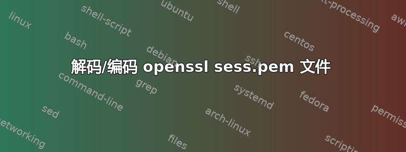 解码/编码 openssl sess.pem 文件