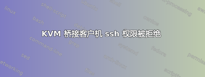 KVM 桥接客户机 ssh 权限被拒绝