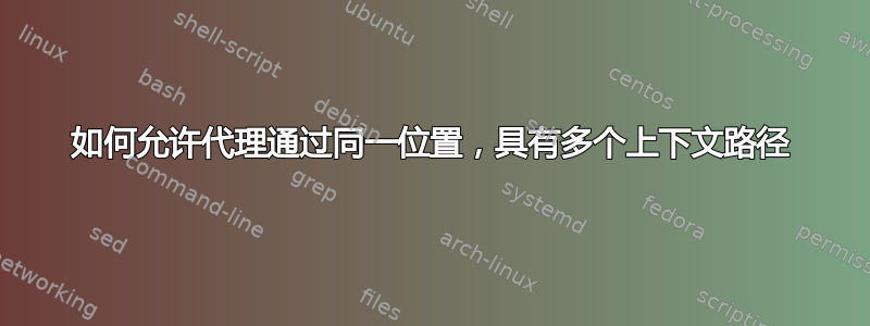 如何允许代理通过同一位置，具有多个上下文路径