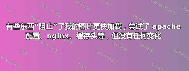 有些东西“阻止”了我的图片更快加载，尝试了 apache 配置、nginx、缓存头等，但没有任何变化