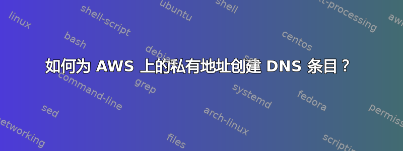 如何为 AWS 上的私有地址创建 DNS 条目？