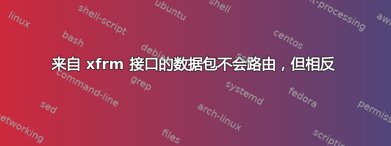 来自 xfrm 接口的数据包不会路由，但相反