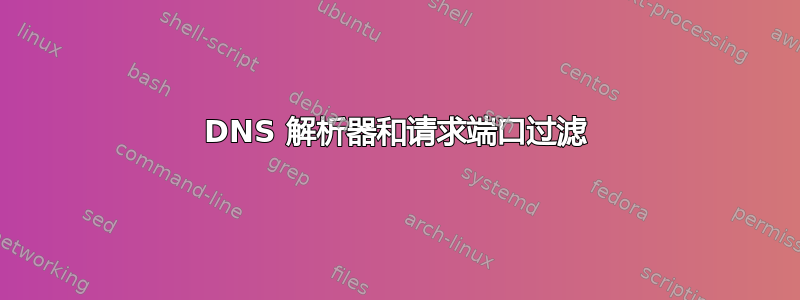 DNS 解析器和请求端口过滤