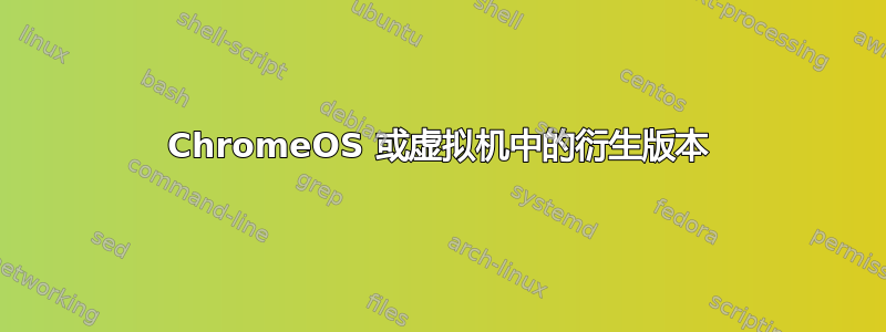 ChromeOS 或虚拟机中的衍生版本