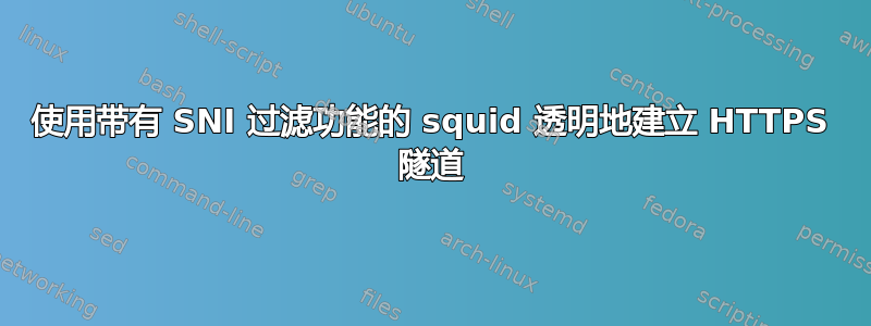 使用带有 SNI 过滤功能的 squid 透明地建立 HTTPS 隧道