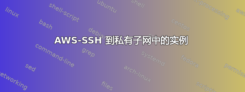 AWS-SSH 到私有子网中的实例