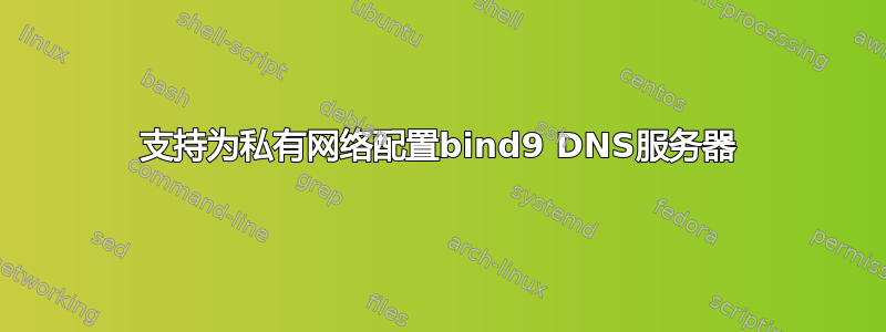 支持为私有网络配置bind9 DNS服务器