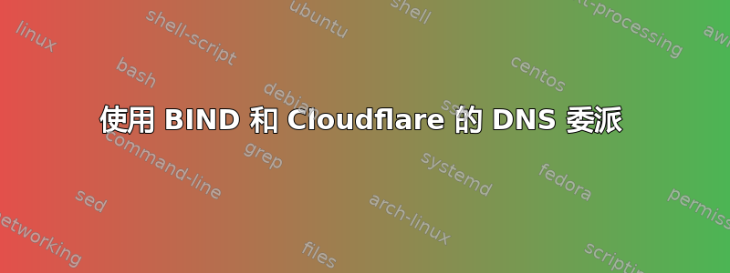 使用 BIND 和 Cloudflare 的 DNS 委派