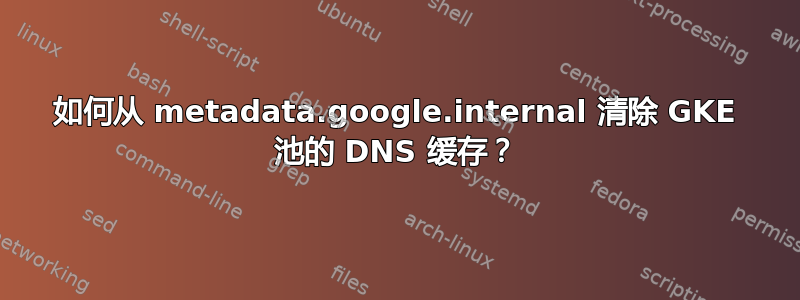 如何从 metadata.google.internal 清除 GKE 池的 DNS 缓存？